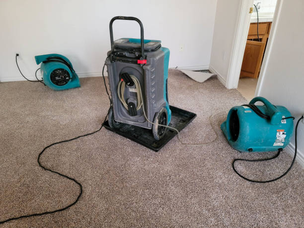 Best Flood restoration services  in Maumelle, AR