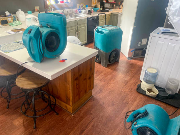 Best Mold removal after water damage  in Maumelle, AR