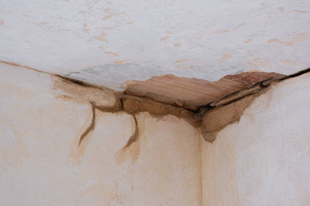 Best 24-hour water damage restoration  in Maumelle, AR