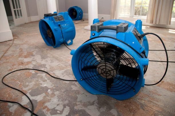 Best 24/7 water damage repair  in Maumelle, AR