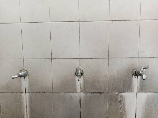Best Local water damage restoration  in Maumelle, AR