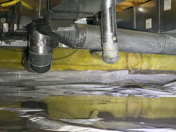 Best Sewage cleanup and water damage restoration  in Maumelle, AR