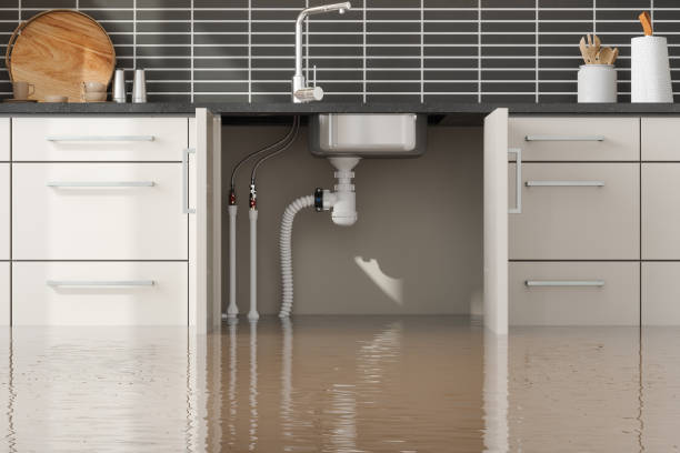 Best Carpet water damage restoration  in Maumelle, AR