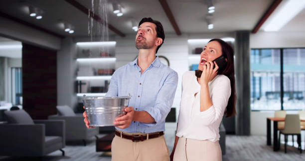  Maumelle, AR Water damage restoration Pros