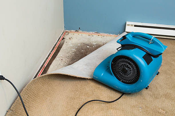 Best Ceiling water damage repair  in Maumelle, AR